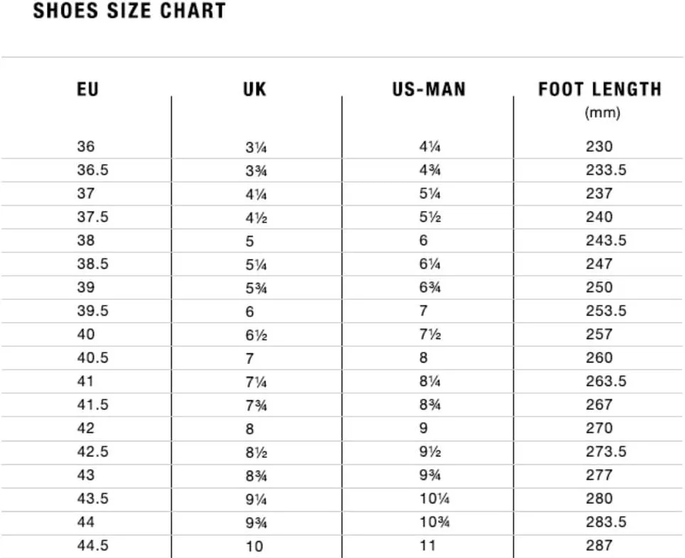 Fizik R3 ARIA Shoes